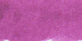 Bougainvillea Purple Swab